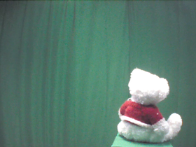 270 Degrees _ Picture 9 _ White Teddy Bear Wearing Red Sweater.png